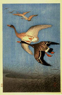 Wild Geese, 1926, Ohara Shoson
